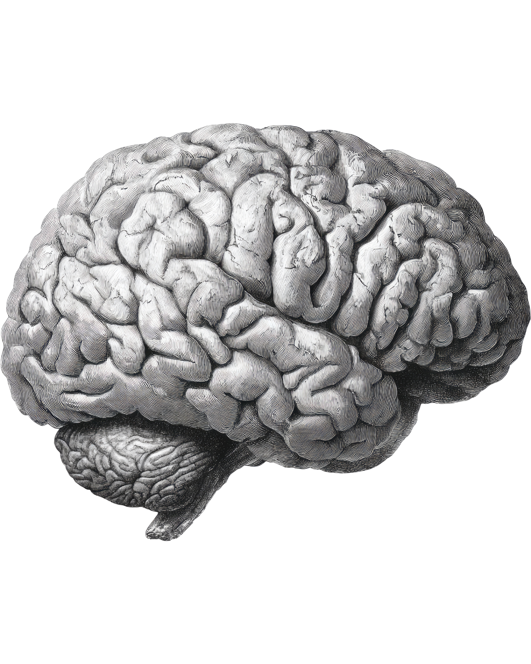 ¿Qué pasa en nuestra mente cuando no podemos dormir?